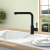 Villeroy & Boch 96970106 Steel Shower matt Black mit Schlauchbrause 360° Schwenkbereich