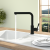 Villeroy & Boch 96970106 Steel Shower matt Black mit Schlauchbrause 360° Schwenkbereich